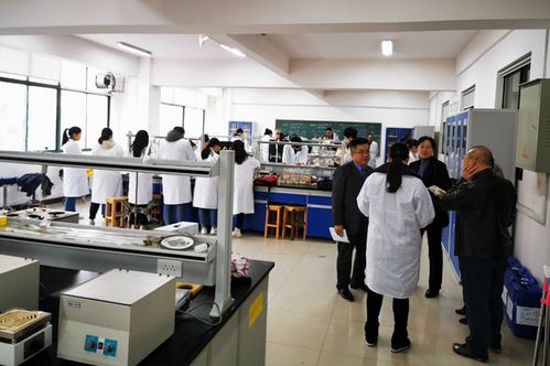 我院食品科學與工程本科專業接受校內專業評估