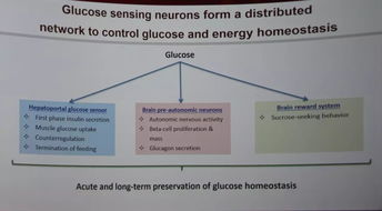 easd2017開幕,邀您共享全球糖尿病領(lǐng)域 盛宴
