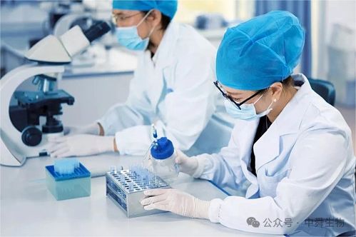 中舜生物 一站式大健康食品OEM，信息技術咨詢服務賦能品牌快速成長